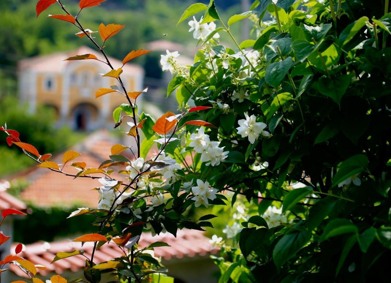 Iliikova House Hotel Kalofer Exterior photo